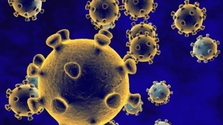 新冠疫情:31個省新增4例,其中北京一例本地新增